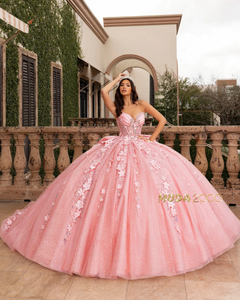 open lace back dress Rachel Allan RQ2190 Quinceanera Applique Long Ball Gown main image 1