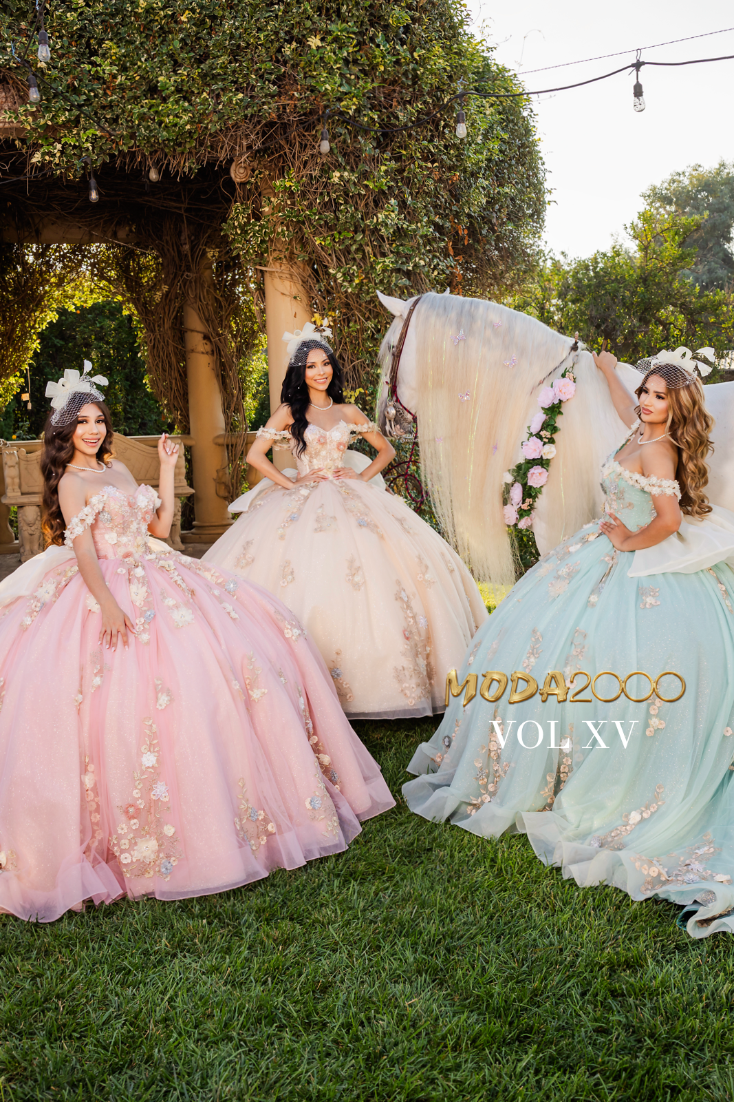 M2K VOL XV – Moda 2000 LLC