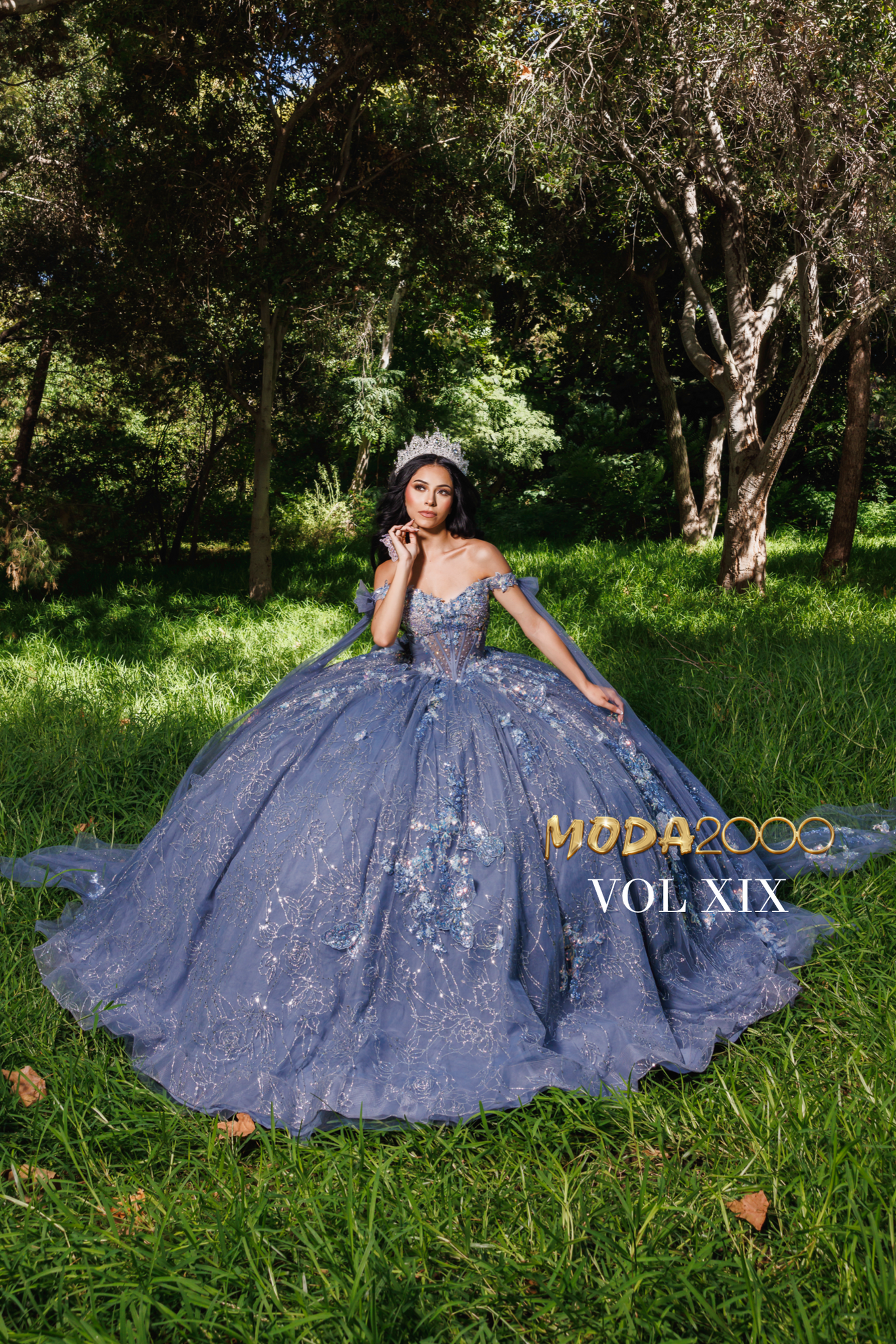 VOL XIX - Slate Blue