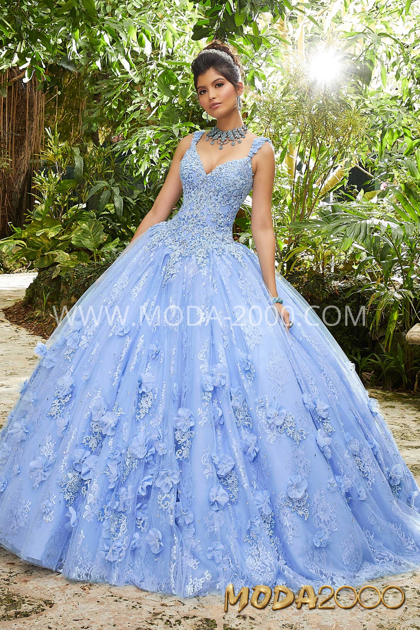 Quinceanera and Sweet Sixteen Dress.