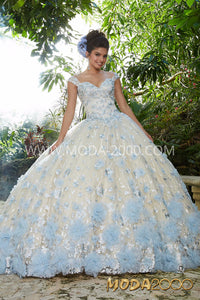 Quinceanera and Sweet Sixteen Dress.