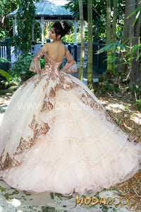 Quinceanera and Sweet Sixteen Dress.