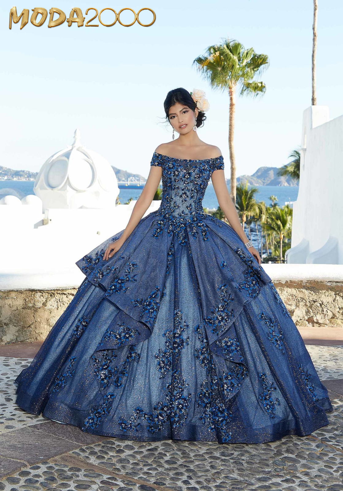 Embroidered 2024 quinceanera dresses
