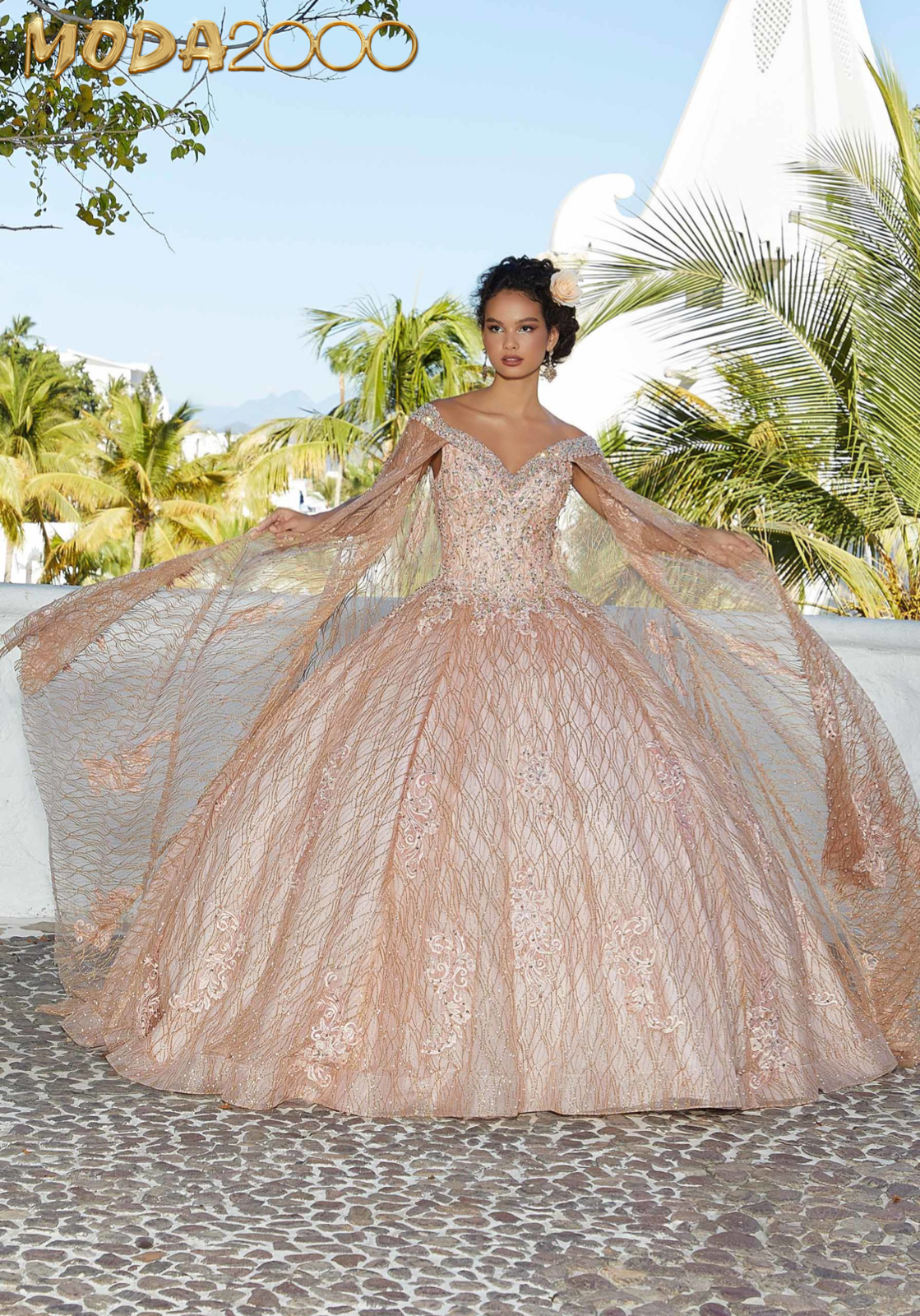 Rose gold hot sale glitter quinceanera dress